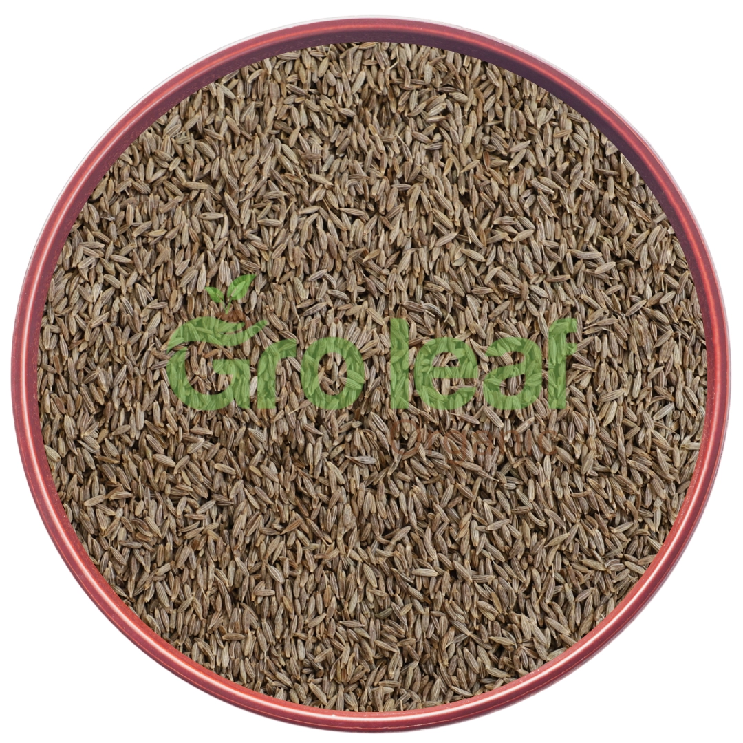 Cumin Seed