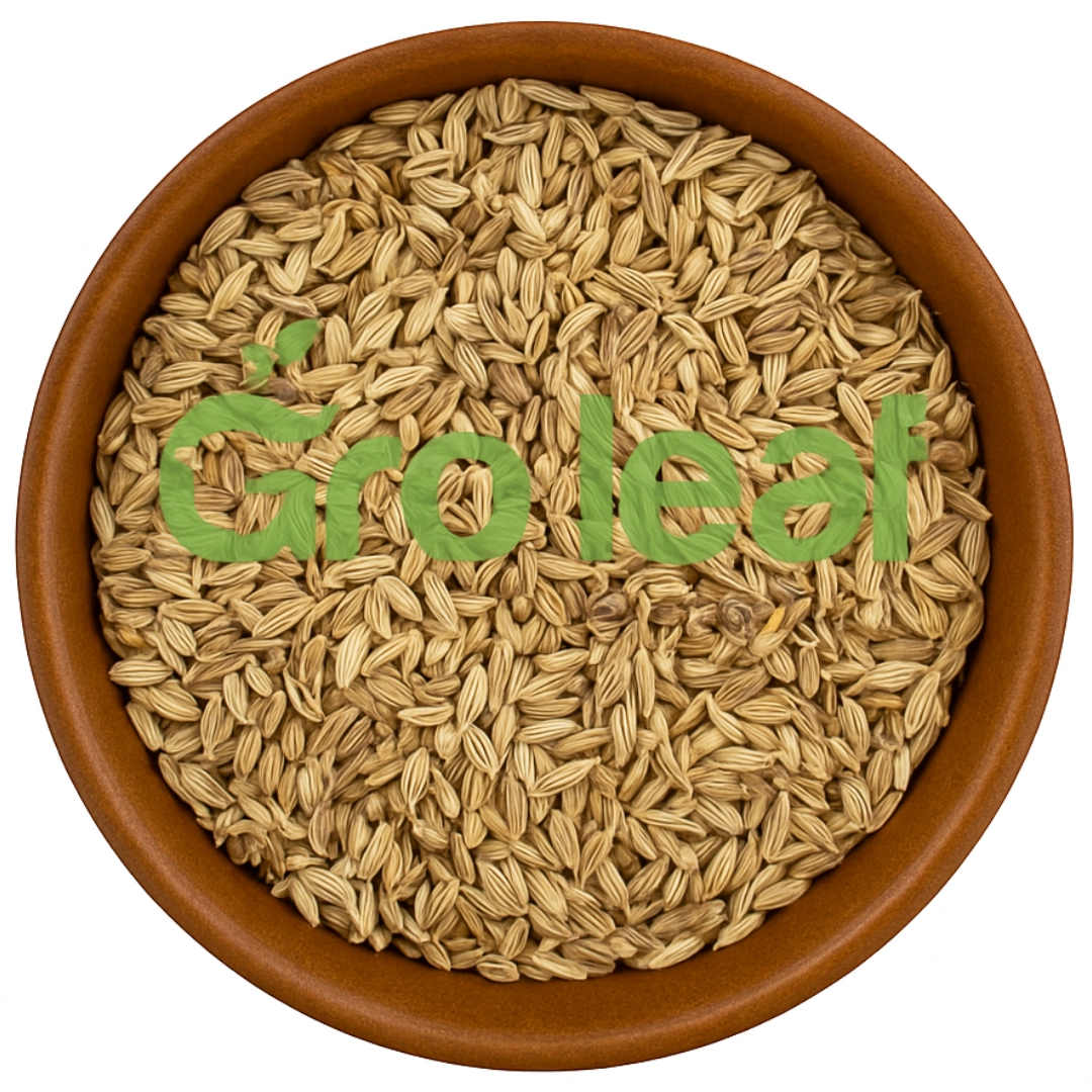 Fennel Seed