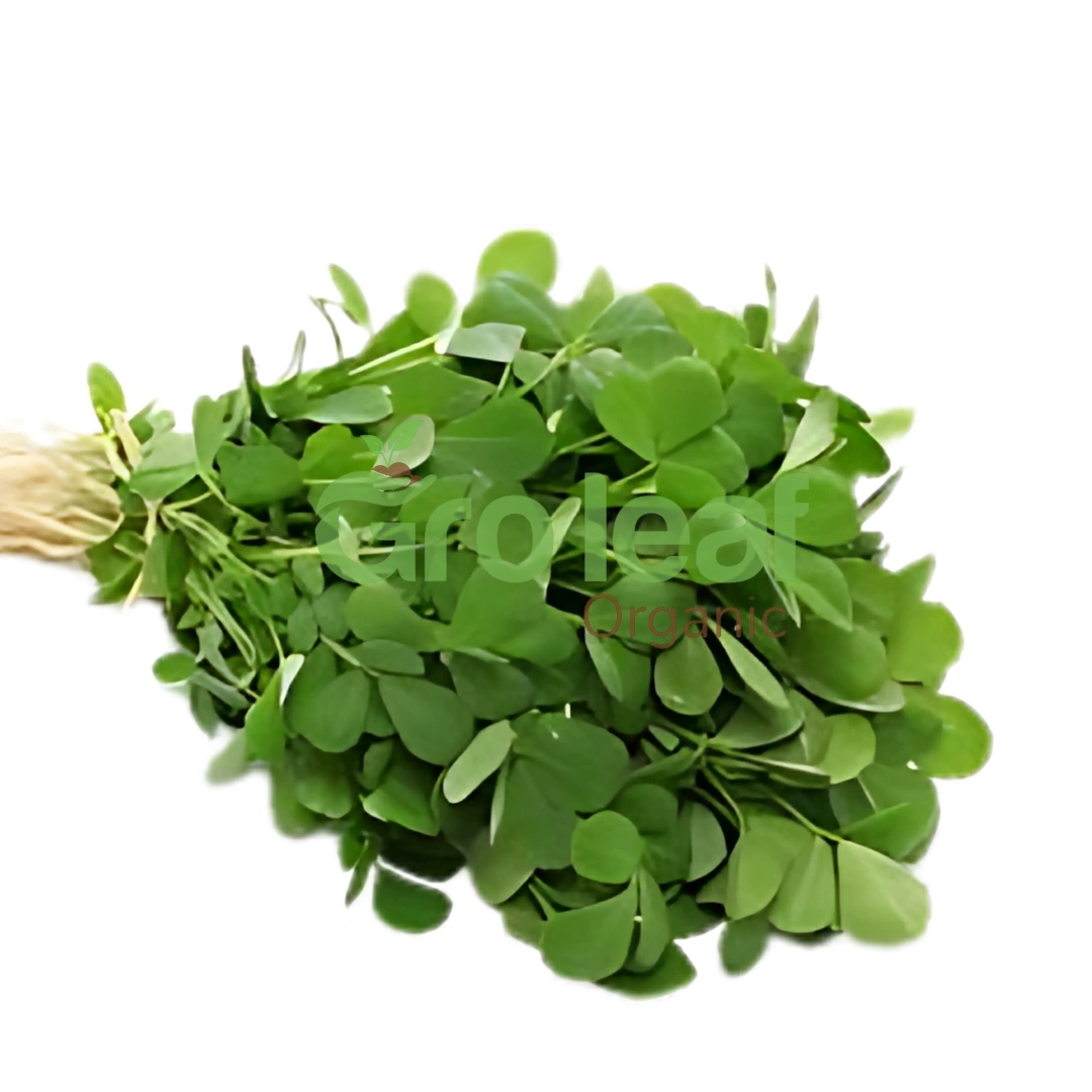 Fenugreek Seed - Image 1