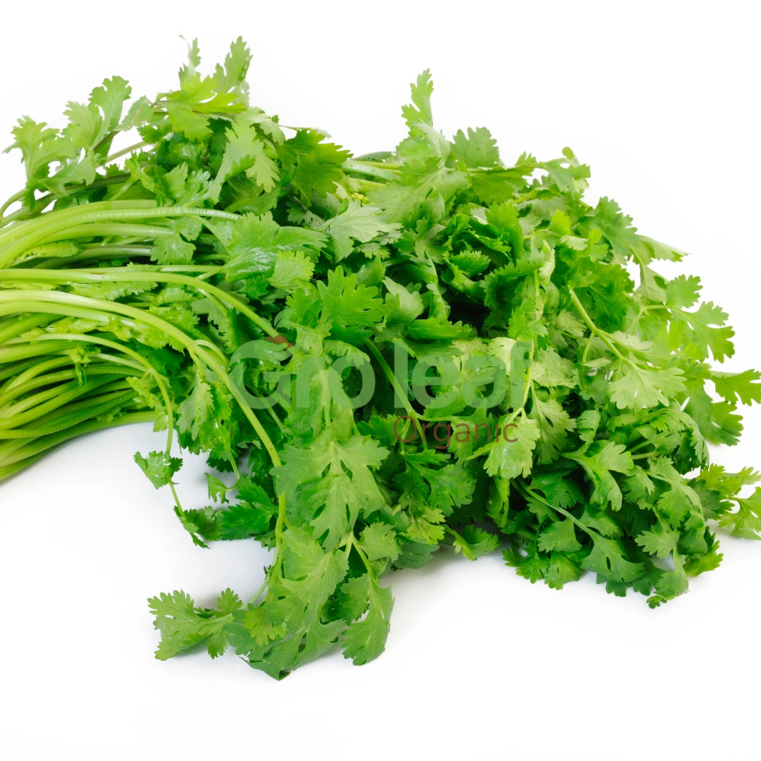 Coriander seed - Image 1